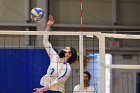 Volleyball vs RWU  Wheaton Women’s Volleyball vs Roger Williams University. : Volleyball, VB